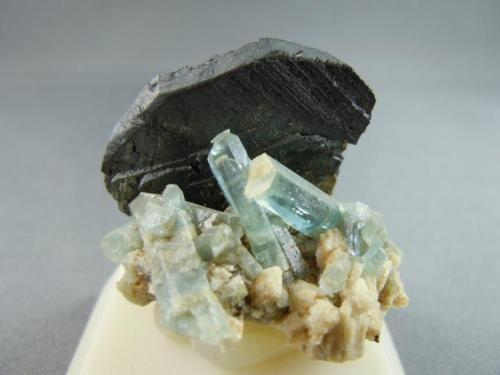 Aquamarine on Hematite
4.0cm x 3.8cm
Former collection of Leo and Marion Horensky (Author: rweaver)