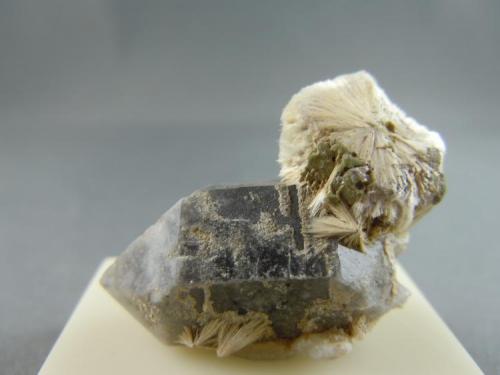 Carpholite on Smokey Quartz
3.0cm x 2.6cm (Author: rweaver)