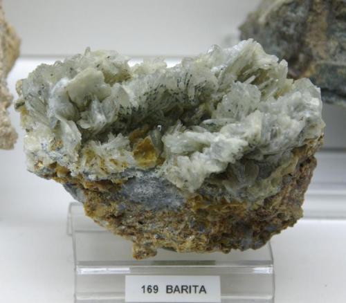 Barita<br />Osor Mines, Osor, Comarca La Selva, Gerona / Girona, Catalonia / Catalunya, Spain<br />120 x 90 mm<br /> (Autor: Jesus Franquesa Baucells)