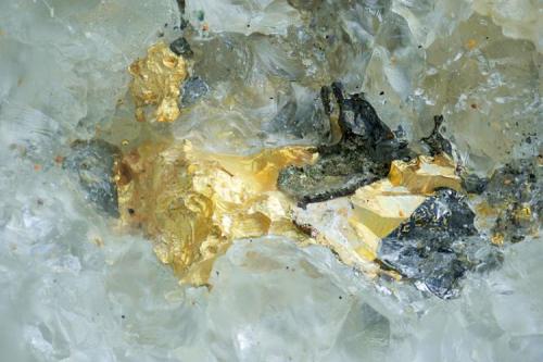 Oro, Nalunaq, Groenlandia, 2mm (Autor: soldevilla)