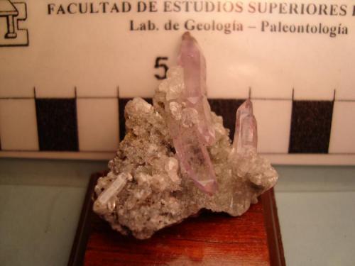Amatista de Las Vigas, Veracruz, México. 3 x 3 cm. Cristal mayor 2 x 0,7 cm. (Autor: Oxyumaurus)