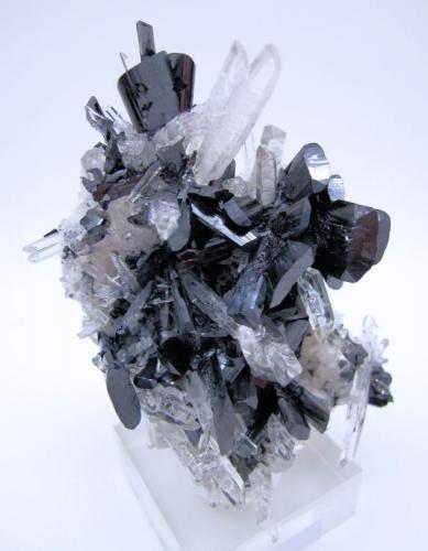 Hübnerite, quartz
Mundo Nuevo mine, Huamachuco, Sánchez Carrión, La Libertad, Peru
107 mm x 75 mm. Maximum crystal sizes > Hübnerite: 26 mm long, 13.5 mm wide, 5 mm thick; Quartz: 39 mm long, 8 mm wide (Author: Carles Millan)