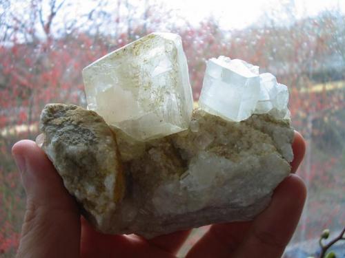 Calcite xls up to 5 cm on marble matrix from Oberscheibe lime quarry near Annaberg, Saxony. (Author: Andreas Gerstenberg)