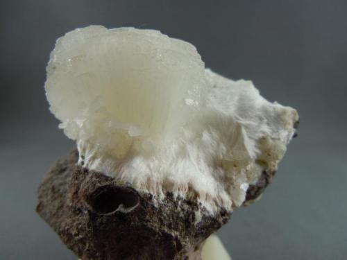 Stilbite on Mesolite
Goble Quarry, Goble, Columbia County, Oregon, USA
6.5 cm. x 6.4 cm.
Photo: Bob Weaver (Author: Jordi Fabre)