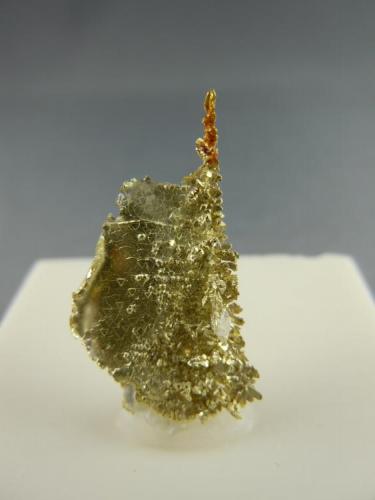 Gold
Santiam Mine, North Santiam Dist, Marion Co., Oregon, USA
1.4 cm x 2.9 cm (Author: rweaver)