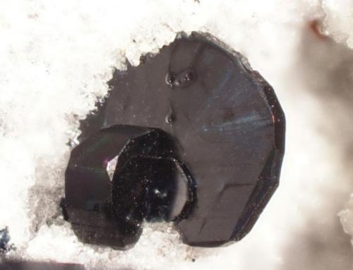 Osumilite
Obsidian Cliffs, North Sister Mountain, Lane County, Oregon, USA
Crystal about 1 mm across. (Author: Pete Richards)