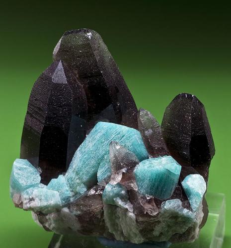Smoky quartz and amazonite
Smoky Hawk Mine,  Jewel Pocket,
Teller Co., Colorado
Specimen size 3.8 x 4 cm. (Author: am mizunaka)