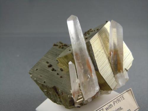 Quartz on Pryite
Spruce Claim
King Co., Washingtom
6.0cm x 5.6cm (Author: rweaver)