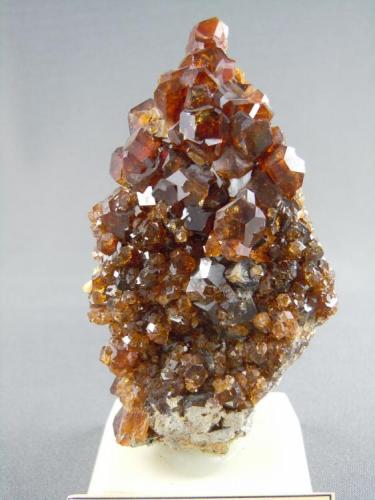 Grossular
Vesper Peak
Sultan, Snohomish Co., Washington
4.7cm x 9.0cm (Author: rweaver)