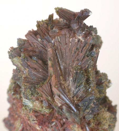 Epidota (detalle de la pieza anterior) - Pantà de les Escales, Casterner de les Olles, Tremp, Lleida, Catalunya, España
Medidas: 6,5 x 3,5 x 3 cms (Autor: Joan Martinez Bruguera)