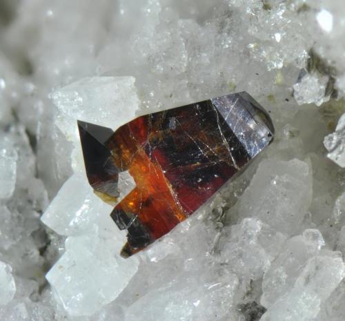 Anatasa
Macael, Almería, Andalucía, España.
Cristal 1 mm. (Autor: Juan Miguel)