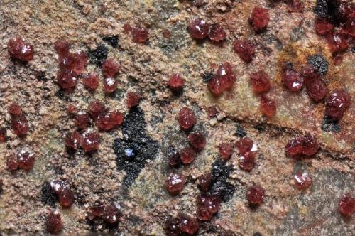 Adamita cobaltífera
Cerro Minado, Huercal Overa, Almería, Andalucía, España.
Encuadre 6 x 5 mm. (Autor: Juan Miguel)