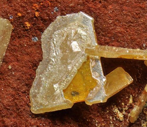 Wulfenita
Benahadux, Almería, Andalucía, España.
Cristal 3 mm. (Autor: Juan Miguel)