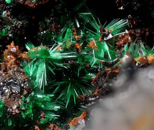 Malaquita
Fiñana, Almería, Andalucía, España.
Encuadre 4 x 4 mm. (Autor: Juan Miguel)