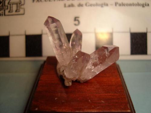 Cuarzo Amatista, de Las Vigas, Veracruz, México. Los cristales miden en promedio 2.2x 0,6cm, el mayor de los cristales mide 2.5x 0,6cm. (Autor: Oxyumaurus)