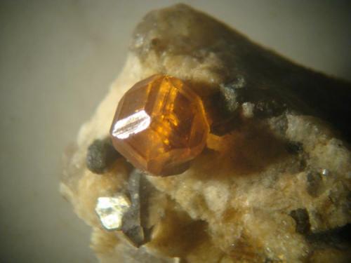 Cuarzo ahumado con granate. Cristal de granate, dimensiones: 0,3 x 0,3 cm (Autor: Oxyumaurus)