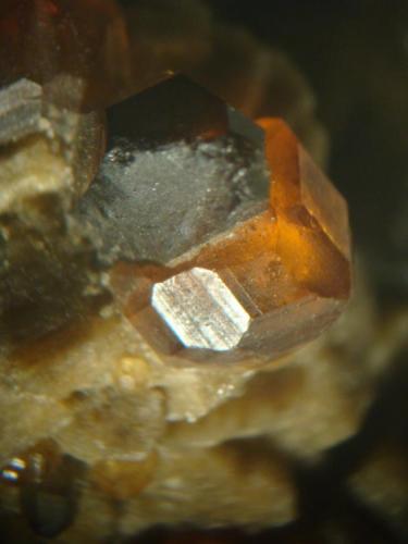 Cuarzo ahumado con granate . Acercamiento del cristal de cuarzo sobre el un cristal de granate, dimensiones: cuarzo 0,5 x 0,2 cm y granate 0,3 x 0,3 cm. (Autor: Oxyumaurus)