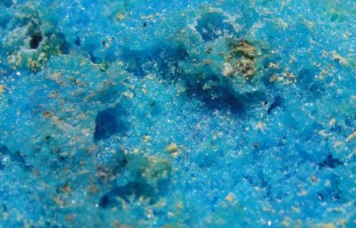 Calcantita detalle Mina Las Vigas Chihuahua México 9x5x1.5cm (Autor: Luis Edmundo Sánchez Roja)