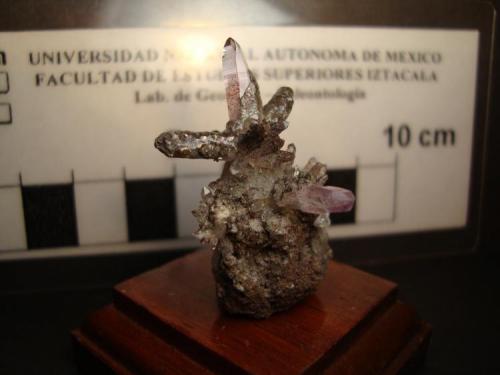 Amatista en drusa
Las Vigas, Veracruz, México. 
Dimensiones: 2 x 1.3 x 3.8 cm cristal mayor 1.7 x 0,3 cm (Autor: Oxyumaurus)