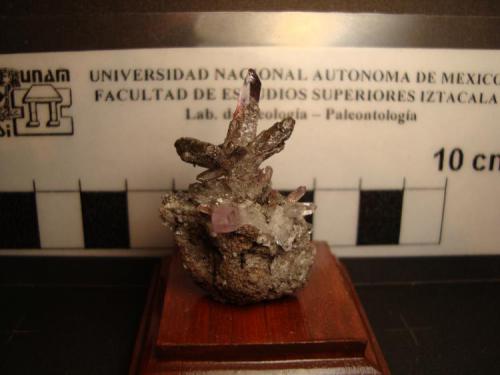 Amatista en drusa
Las Vigas, Veracruz, México. 
Dimensiones: 2 x 1.3 x 3.8 cm cristal mayor 1.7 x 0,3 cm (Autor: Oxyumaurus)