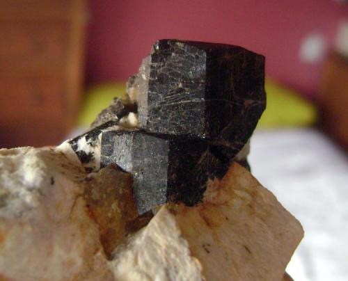 Turmalina<br />Tui (Tuy), Comarca Baixo Miño, Pontevedra, Galicia / Galiza, España<br />Cristal mayor 3 cm<br /> (Autor: usoz)