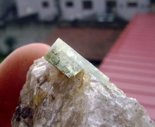 Berilo sobre Cuarzo<br />Tui (Tuy), Comarca Baixo Miño, Pontevedra, Galicia / Galiza, España<br />Tamaño cristal 2 cm.<br /> (Autor: usoz)