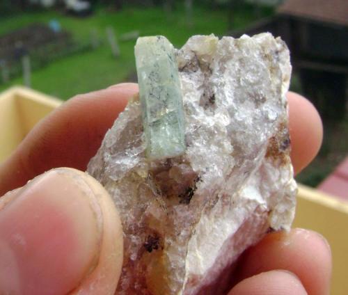 Berilo sobre Cuarzo<br />Tui (Tuy), Comarca Baixo Miño, Pontevedra, Galicia / Galiza, España<br />Tamaño cristal 2 cm.<br /> (Autor: usoz)