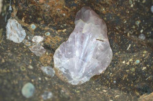 Aragonito Rosa en el interior de piedra basáltica (detalle) - Pedrera Can Suria, Maçanet de la Selva, Comarca de la Selva, Girona, Catalunya, España
Medidas. 9 x 6,5 x 5,5 cms (Autor: Joan Martinez Bruguera)