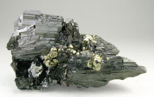 Enargite with Pyrite and Quartz
Butte, Silver Bow County, Montana, USA
Specimen size: 6 × 3.5 × 4.5 cm.
Main crystal size: 2.4 × 2.4 cm.
Mined about 1948
Former collection of Folch duplicates
Photo: Reference Specimens (Author: Jordi Fabre)