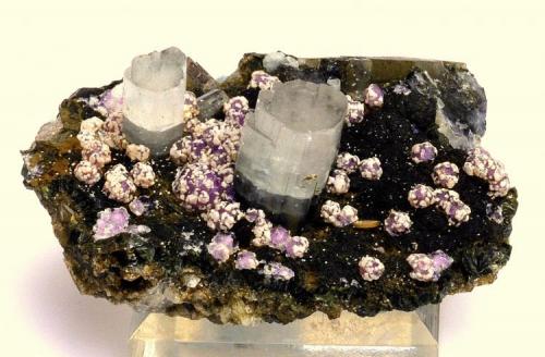 Fluorapatito, Fluorita, Arsenopirita, Moscovita y Siderita - Minas da Panasqueira - Nivel 2 - Barroca Grande - Covilha - Castelo Branco - Portugal - 6,6 x 4,7 x 2,5 (Autor: Martí Rafel)