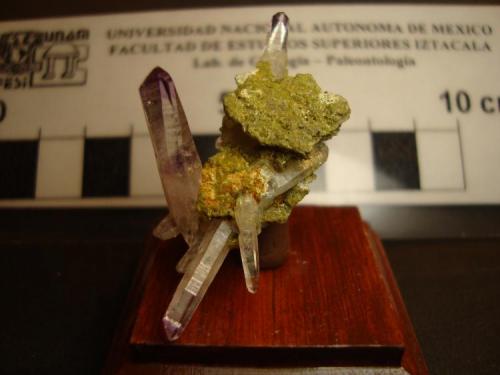 Amatista
Las Vigas, Veracruz, México. 
Dimensiones 3 x 1,3 cm
El Cristal con fantasma mide 1,4 x 0,3 cm. 
Matriz tipica de Las Vigas con Epidota. (Autor: Oxyumaurus)