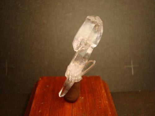Cuarzo cetro
Las Vigas, Veracruz, México. 
Dimensiones 2,6 x 0,4 cm; el cristal de la región apical mide 1,2 x 0,8 cm. (Autor: Oxyumaurus)
