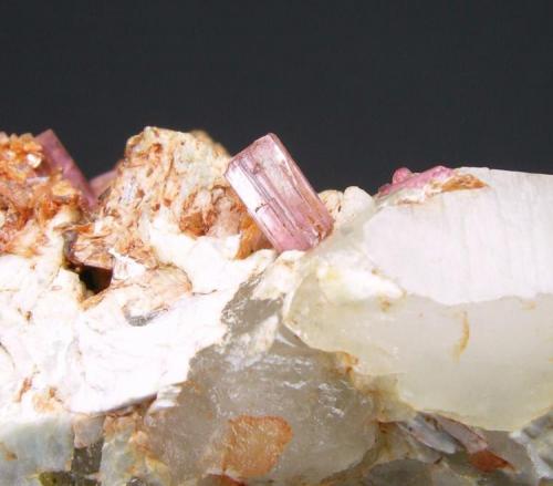 Rubelita + Cuarzo
Puerto Mancilla - Estepona - Málaga - Andalucía - España
4.6 x 3.2 cm - Cristales de entre 0.9 y 0.6 cm (Autor: Diego Navarro)