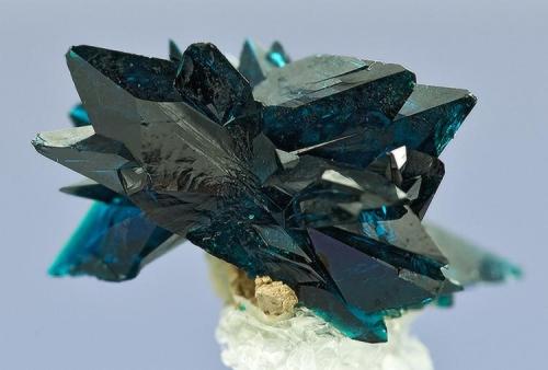 Veszelyite
Black Pine Mine, Flint Creek Valley, Philipsburg District, Granite Co., Montana
Specimen size 1.4 x 1.1 cm (Author: am mizunaka)