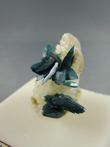 Veszelyite on Quartz
Black Pine Mine,
Phillipsburg, Montana
2.2cm x 3.0cm (Author: rweaver)