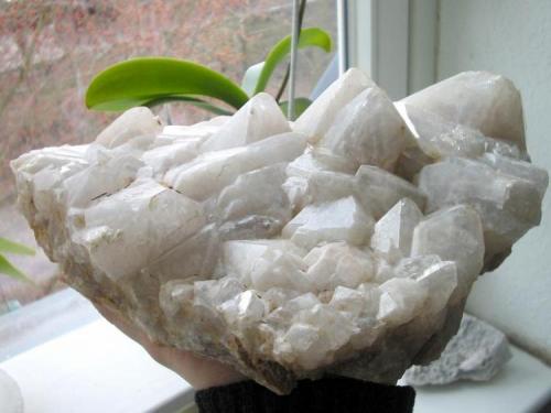 Quartz crystals up to 8 cm from Medenbach limestone quarry, Herborn, Hesse. (Author: Andreas Gerstenberg)