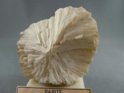 Barite
New England
North Dakota
5.5 cm. x 5.7 cm.
Photo: Bob Weaver (Author: Jordi Fabre)