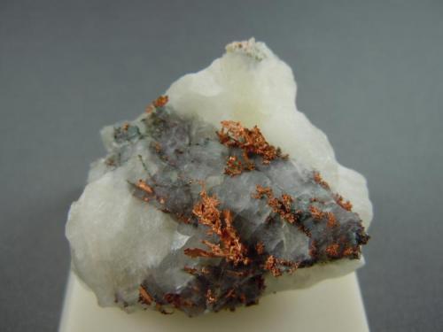 Copper on Calcite
St Louis Co., Minnesota
3.8cm x 3.1cm (Author: rweaver)