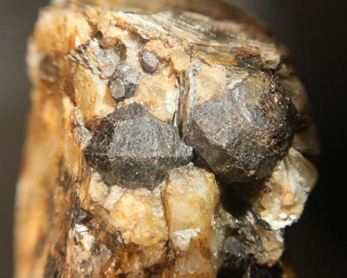 Granate en pegmatita. (cristal mayor: 1 cm). Antigua mina "Las Esmeraldas", paraje "La Alcubilla". T.m. de Villaviciosa de Córdoba (Córdoba) (Autor: Inma)