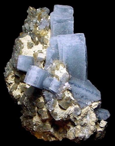 Celestine and Calcite on Limestone

Newport Quarry
Newport
Monroe County, Michigan
United States of America

16.5 x 11.0 cm overall (Author: GneissWare)