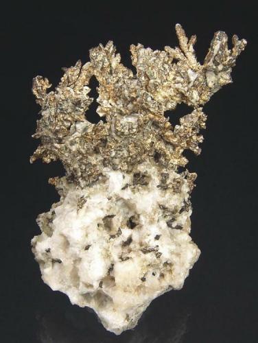 Silver with Quartz

Copper Falls Mine
Ashbed Lode
Keweenaw County, Michigan
United States of America

8.1 x 5.5 x 2.0 cm overall (Author: GneissWare)