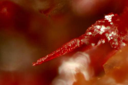 Twisted crystal of cinnabar (~1 mm) in matrix; exposed from enclosing calcite. Huron River Uranium Prospect, Baraga Co., MI. (Author: John Jaszczak)