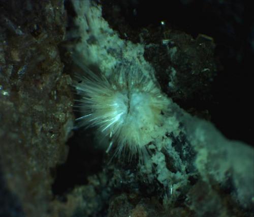 Sinkankasite
Baker-Ferguson Mine, Keystone, Keystone District, Pennington County, South Dakota, USA
Field of view is 2 mm
This is another attempt with the Helicon Focus, I need one of those "Student Driver" signs to stick on my microscope. This Sinkankasite is from the type locallity at the Baker-Ferguson Mine, Keystone, Keystone District, Pennington County, South Dakota. The field of view is 2 mm (Author: Jim Prentiss)