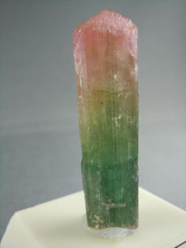 Tourmaline
Haddam Neck
Middlesex Co., Connecticut
1.5cm x 5.5cm (Author: rweaver)