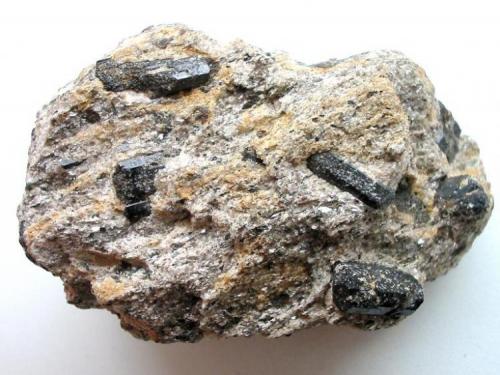 Augite crystals in gneiss matrix from Sayda, Saxony. Specimen width: 8,5 cm. (Author: Andreas Gerstenberg)