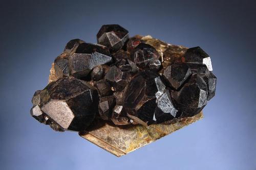 Almandine
Russell, Massachusetts, USA
5.4 x 6.7 cm. (Author: crosstimber)