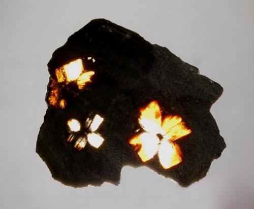 Andalusite var. chiastolite
Lancaster, Massachusetts, USA
4.5 x 5.0 cm.
Backlit thin slice. (Author: crosstimber)