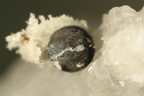 Compact spherical aggregate of graphite crystals partially dissolved from enclosing calcite matrix. (1-mm diameter) (Author: John Jaszczak)