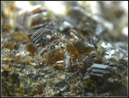 MICA FLOGOPITA - Llanos del Juanar - Ojén - Málaga (DETALLE) (Autor: Mijeño)