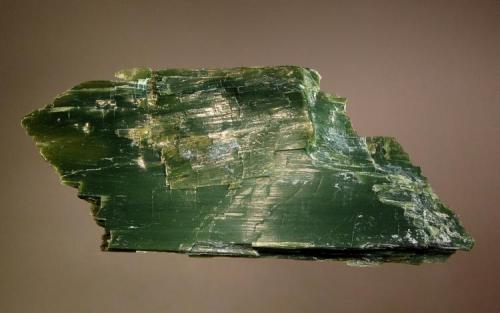 Antigorite var. picrolite - Belvidere Mt. Quarries, Eden-Lowell (Author: crosstimber)